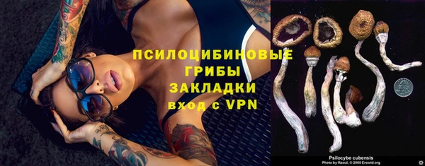 прущие грибы Алексеевка
