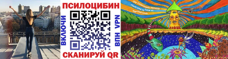 Галлюциногенные грибы ЛСД купить цена Каменск-Уральский