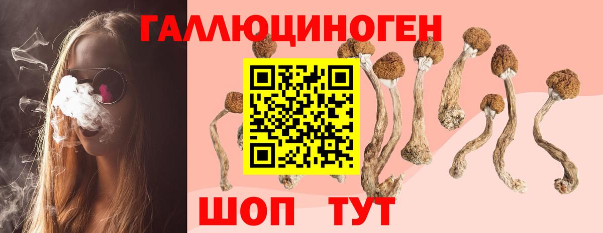 купить наркоту  Псилоцибиновые грибы MAGIC MUSHROOMS  Вход с VPN  Каменск-Уральский  Псилоцибиновые грибы мухоморы 