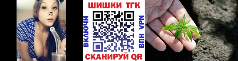 Бошки Шишки план  Каменск-Уральский 